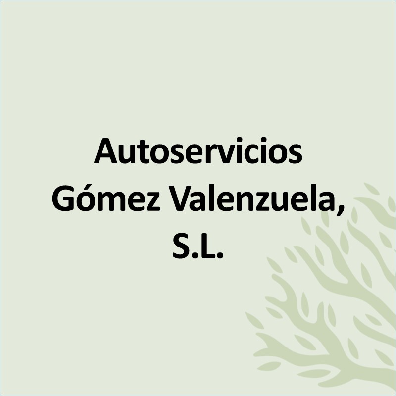 AUTOSERVICIOS GOMEZ VALENZUELA SL